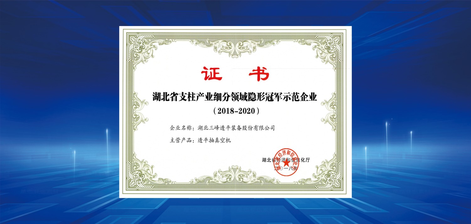 2018細(xì)分領(lǐng)域冠軍.jpg